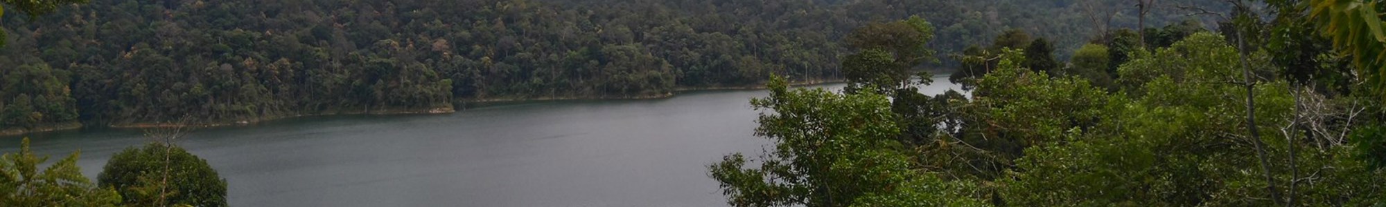 Progress in ASEAN biodiversity protection efforts
